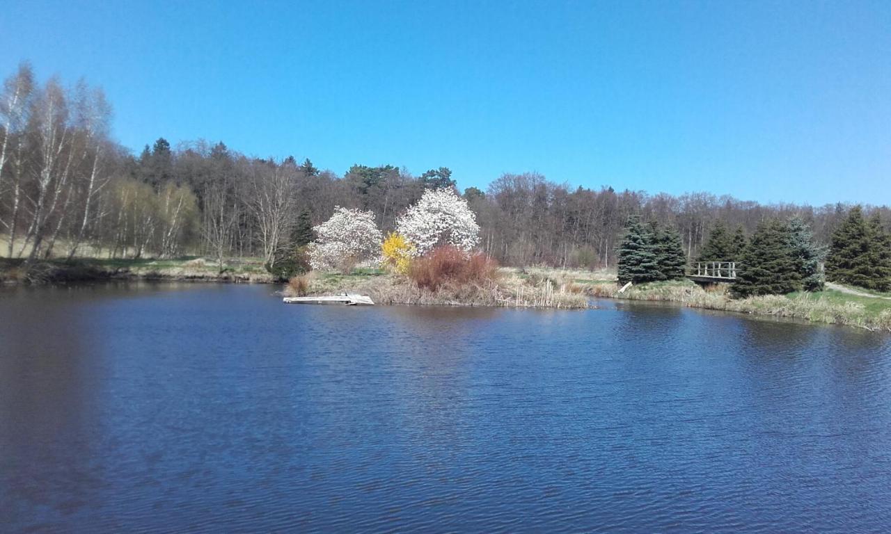 Marka Pokoje Goscinne Mielno (Koszalin) Exterior foto