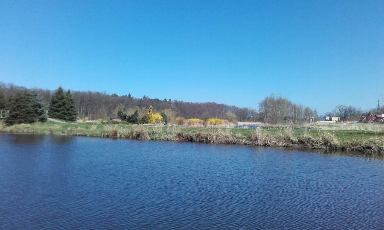 Marka Pokoje Goscinne Mielno (Koszalin) Exterior foto